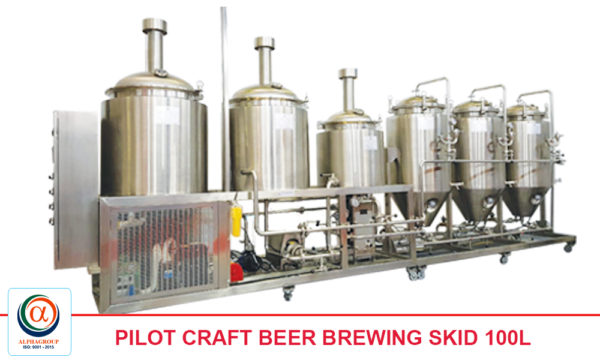 Pilot Craft Beer Brewing Skid