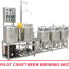 Pilot Craft Beer Brewing Skid 50l