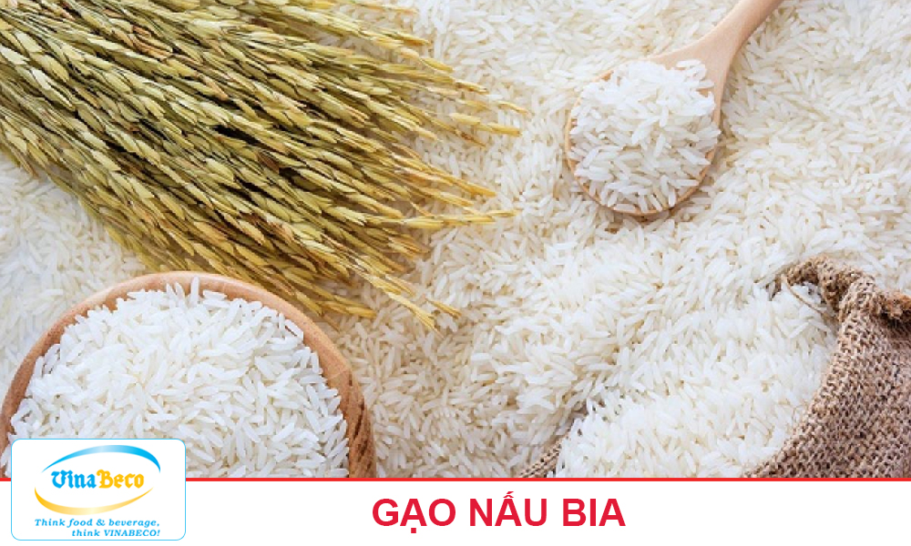 gạo nấu bia