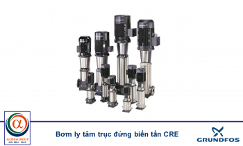 bơm ly tâm trục đứng Grundfos